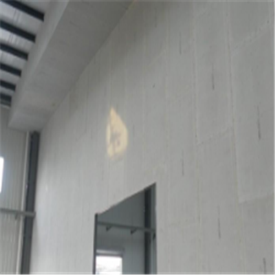 那坡宁波ALC板|EPS加气板隔墙与混凝土整浇联接的实验研讨